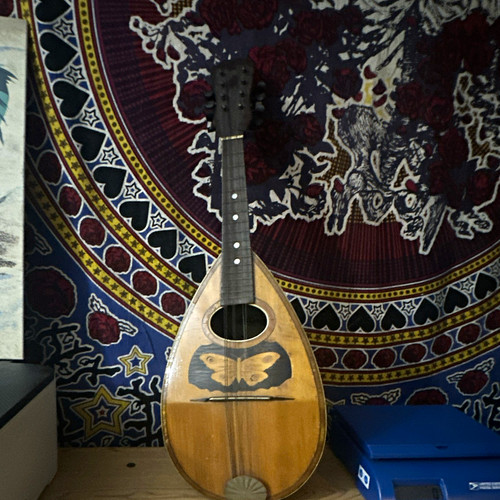 Vintage mandolin butterfly - vintage,