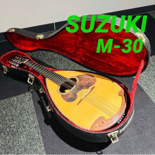Vintage suzuki mandolin - mandolin, m-30